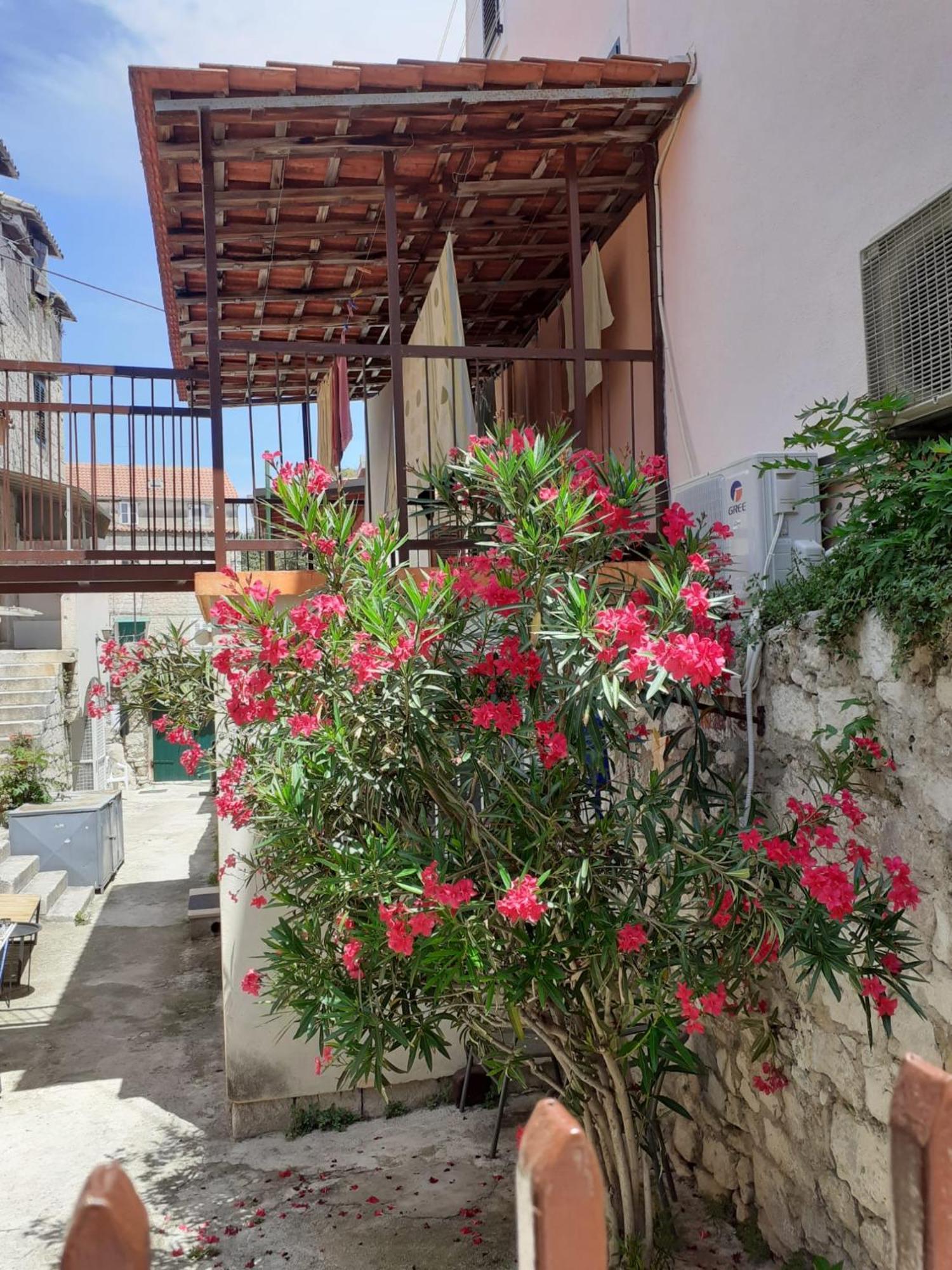 Oleander Apartments Сплит Екстериор снимка